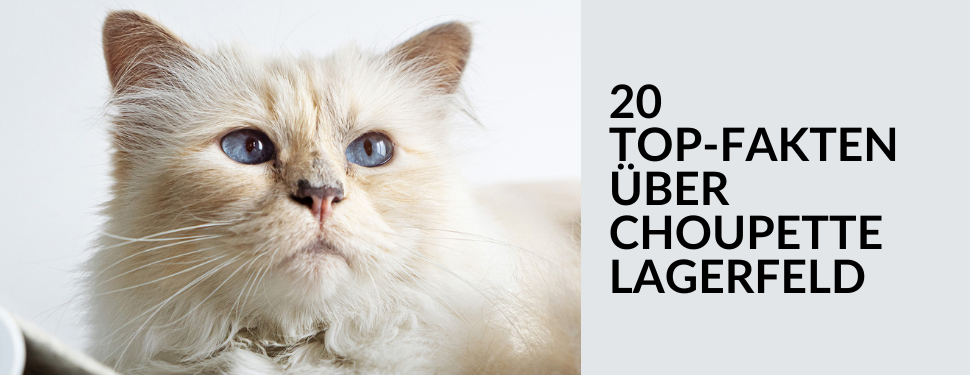 20 Fakten über Choupette Karl Lagerfelds Katze Choupette i