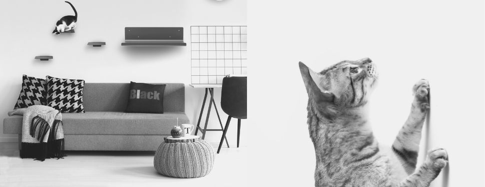 Design Katzenmöbel für die Wand