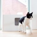 Dome-Katzenklo in modernem und schönes Design fügt sich nahtlos in jeden Innenraum ein.
