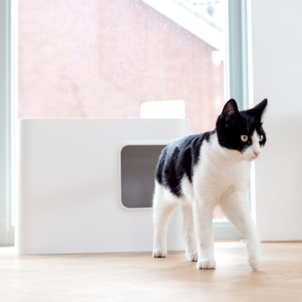Dome-Katzenklo in modernem und schönes Design fügt sich nahtlos in jeden Innenraum ein.