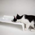 Katzen Futterstation DINE - Doppelnapf mit bruchstabilen Melaminschalen für Nassfutter & Trockenfutter