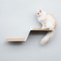 Katzen Kletterhilfe WAVE – Elegante Katzentreppe für die Wand in Weiss
