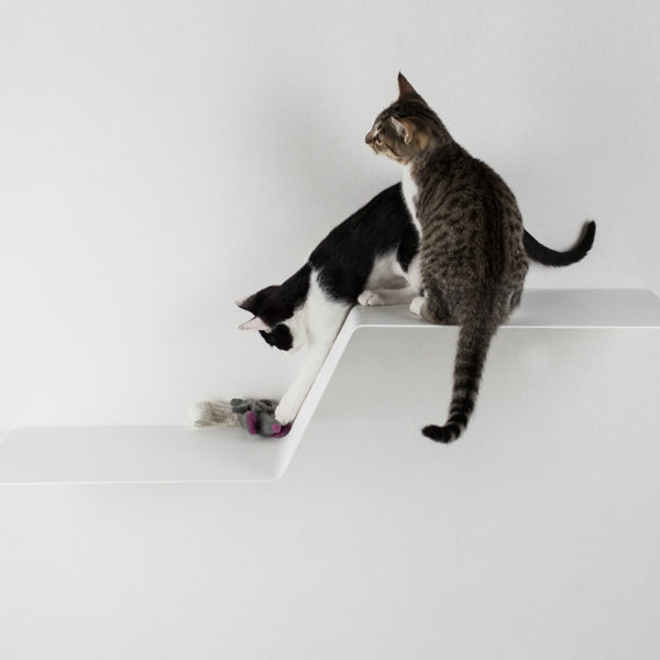 Katzen Kletterhilfe WAVE - Elegante Katzentreppe für die Wand