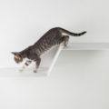 Katzen Kletterhilfe WAVE - Elegante Katzentreppe für die Wand