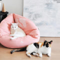 Faltbares Katzenbett EMI mit Baumwollbezug