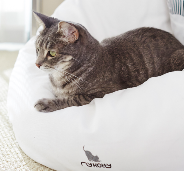 Das faltbare Katzenkissen EMI. Der Sitzsack zum Dösen und Relaxen für Ihre Samtpfote