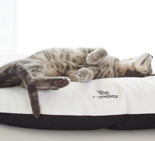 Das faltbare Katzenkissen EMI. Der Sitzsack zum Dösen und Relaxen für Ihre Samtpfote