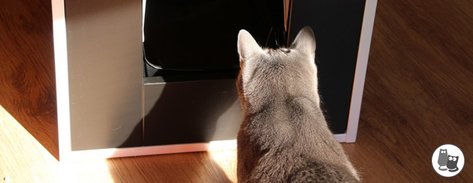 Kann eine Katzentoilette wirklich schön sein ?